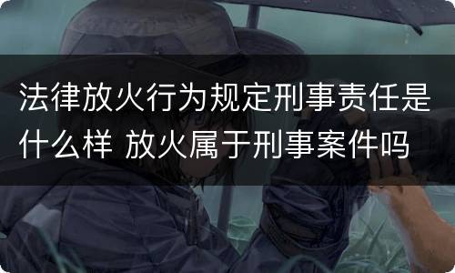 法律放火行为规定刑事责任是什么样 放火属于刑事案件吗