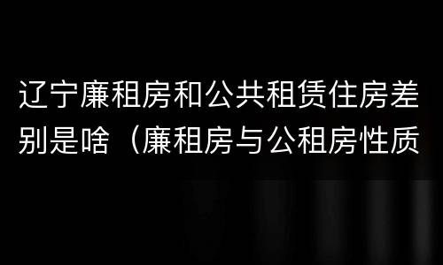 辽宁廉租房和公共租赁住房差别是啥（廉租房与公租房性质是一样的吗）