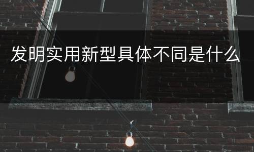 发明实用新型具体不同是什么