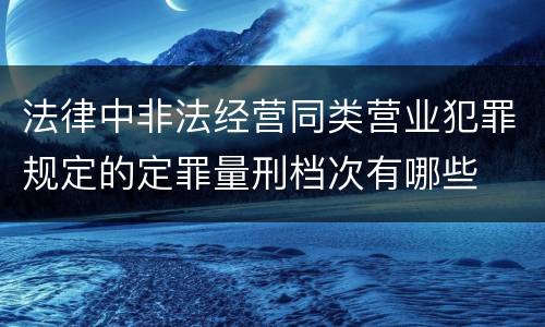 法律中非法经营同类营业犯罪规定的定罪量刑档次有哪些