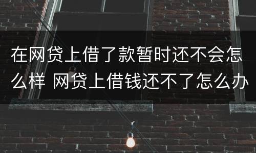 在网贷上借了款暂时还不会怎么样 网贷上借钱还不了怎么办