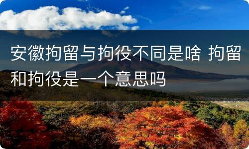 安徽拘留与拘役不同是啥 拘留和拘役是一个意思吗