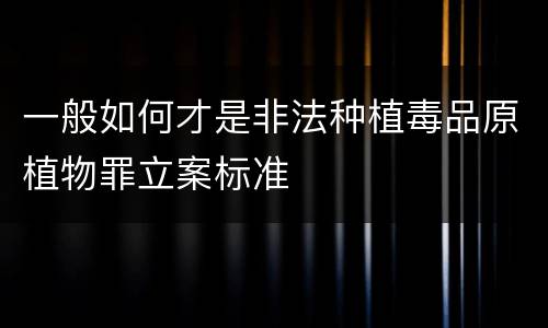 一般如何才是非法种植毒品原植物罪立案标准