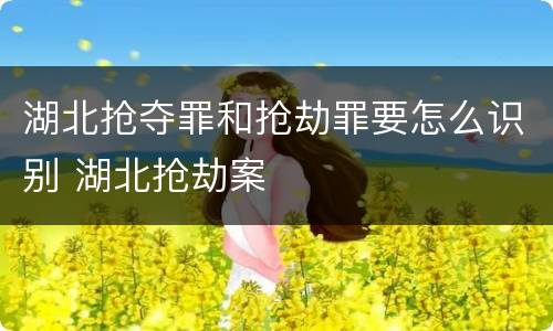 湖北抢夺罪和抢劫罪要怎么识别 湖北抢劫案