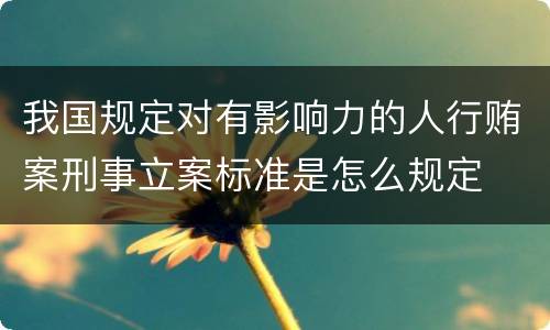 我国规定对有影响力的人行贿案刑事立案标准是怎么规定