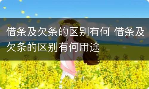 借条及欠条的区别有何 借条及欠条的区别有何用途