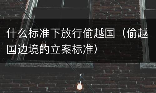 什么标准下放行偷越国（偷越国边境的立案标准）