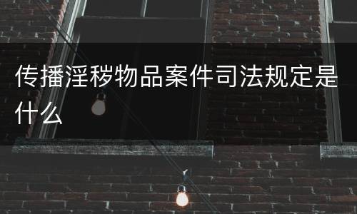 传播淫秽物品案件司法规定是什么