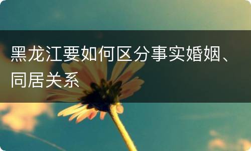 黑龙江要如何区分事实婚姻、同居关系