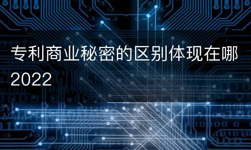专利商业秘密的区别体现在哪2022