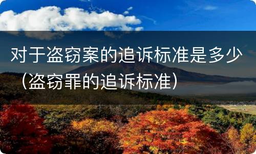 对于盗窃案的追诉标准是多少（盗窃罪的追诉标准）