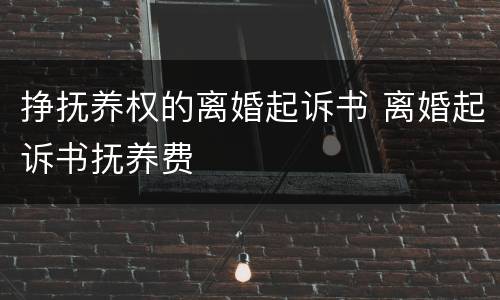 挣抚养权的离婚起诉书 离婚起诉书抚养费