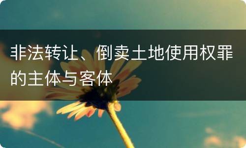 非法转让、倒卖土地使用权罪的主体与客体