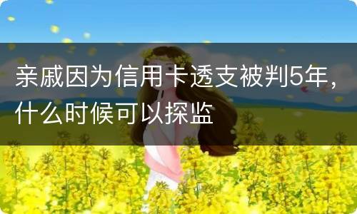 亲戚因为信用卡透支被判5年，什么时候可以探监