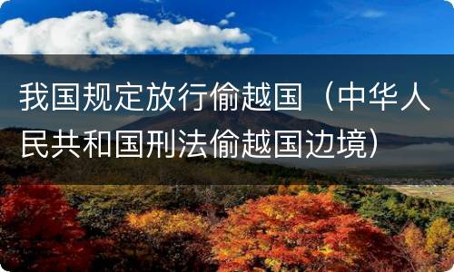 我国规定放行偷越国（中华人民共和国刑法偷越国边境）