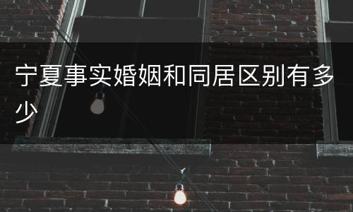 宁夏事实婚姻和同居区别有多少