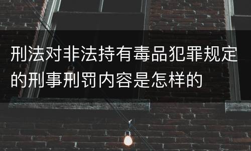 刑法对非法持有毒品犯罪规定的刑事刑罚内容是怎样的
