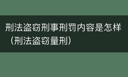 刑法盗窃刑事刑罚内容是怎样（刑法盗窃量刑）