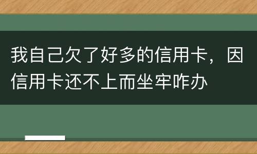 我自己欠了好多的信用卡，因信用卡还不上而坐牢咋办
