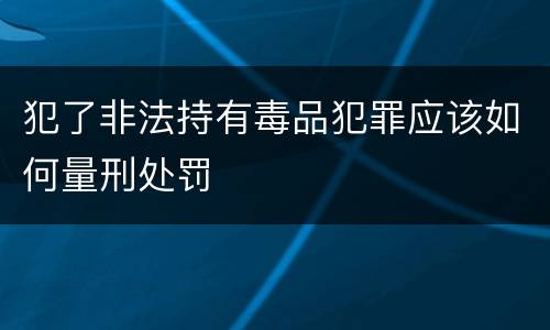 犯了非法持有毒品犯罪应该如何量刑处罚