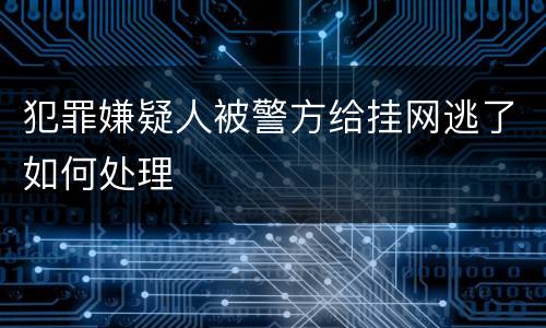 犯罪嫌疑人被警方给挂网逃了如何处理