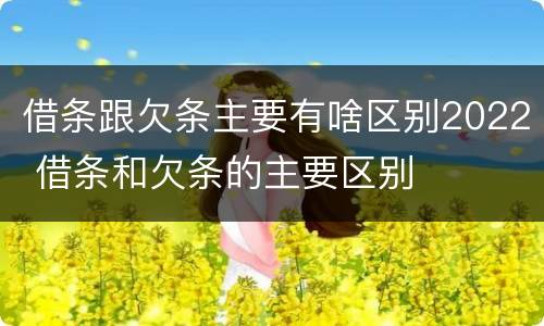 借条跟欠条主要有啥区别2022 借条和欠条的主要区别