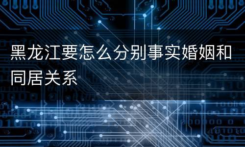 黑龙江要怎么分别事实婚姻和同居关系