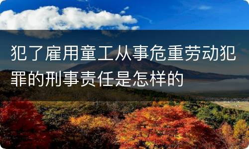 犯了雇用童工从事危重劳动犯罪的刑事责任是怎样的