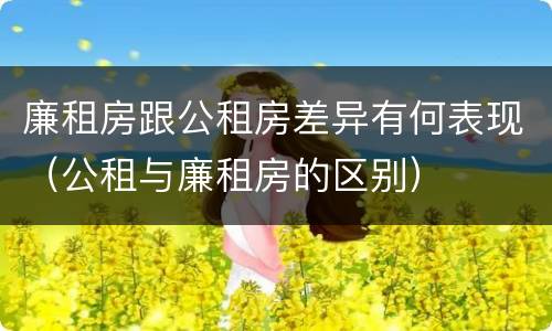 廉租房跟公租房差异有何表现（公租与廉租房的区别）