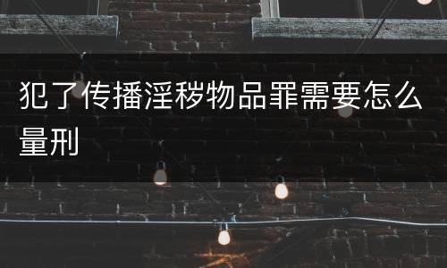 犯了传播淫秽物品罪需要怎么量刑