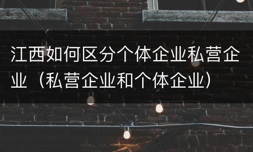 江西如何区分个体企业私营企业（私营企业和个体企业）