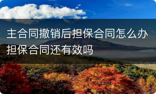 主合同撤销后担保合同怎么办担保合同还有效吗