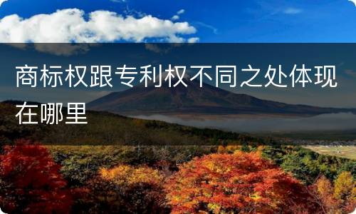 商标权跟专利权不同之处体现在哪里