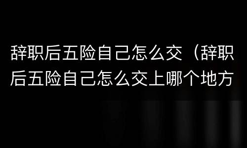 辞职后五险自己怎么交（辞职后五险自己怎么交上哪个地方交）
