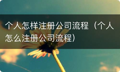 个人怎样注册公司流程（个人怎么注册公司流程）