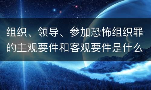 组织、领导、参加恐怖组织罪的主观要件和客观要件是什么