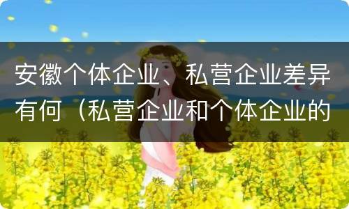 安徽个体企业、私营企业差异有何（私营企业和个体企业的区别）