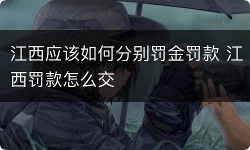 江西应该如何分别罚金罚款 江西罚款怎么交
