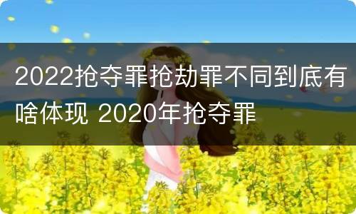 2022抢夺罪抢劫罪不同到底有啥体现 2020年抢夺罪
