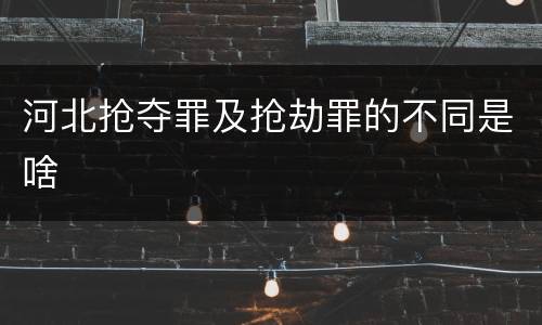 河北抢夺罪及抢劫罪的不同是啥
