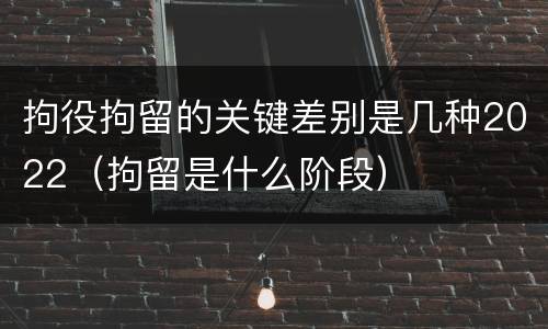 拘役拘留的关键差别是几种2022（拘留是什么阶段）