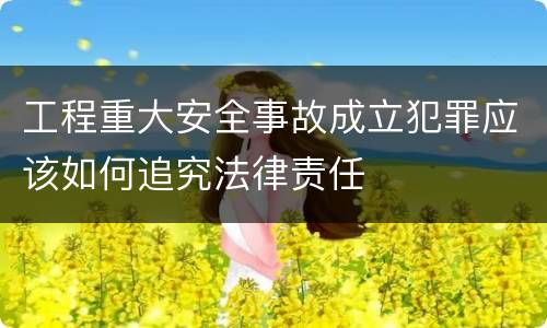 工程重大安全事故成立犯罪应该如何追究法律责任