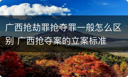 广西抢劫罪抢夺罪一般怎么区别 广西抢夺案的立案标准
