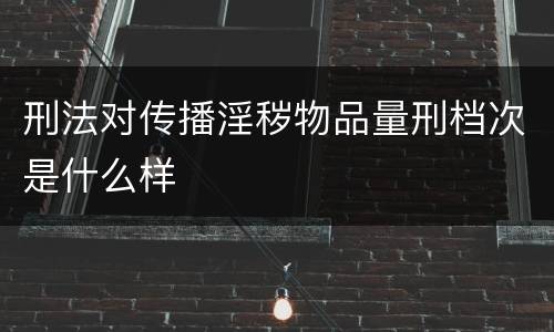刑法对传播淫秽物品量刑档次是什么样