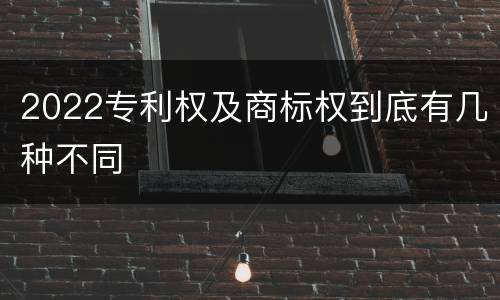 2022专利权及商标权到底有几种不同