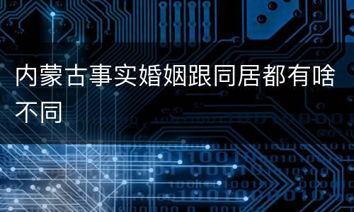 内蒙古事实婚姻跟同居都有啥不同