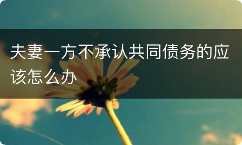 夫妻一方不承认共同债务的应该怎么办