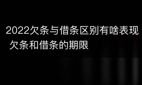 2022欠条与借条区别有啥表现 欠条和借条的期限