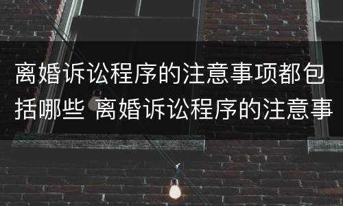 离婚诉讼程序的注意事项都包括哪些 离婚诉讼程序的注意事项都包括哪些内容