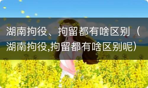 湖南拘役、拘留都有啥区别（湖南拘役,拘留都有啥区别呢）